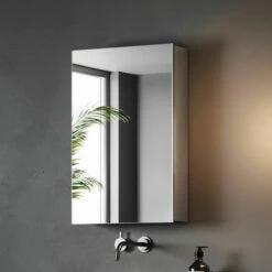 Elena Cloakroom Stainless Steel Mirror Cabinet 600x400mm
