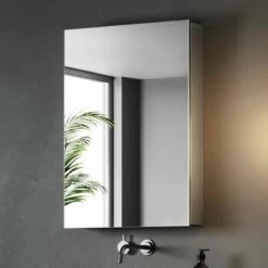 Elena Stainless Steel Mirror Cabinet 700x500mm